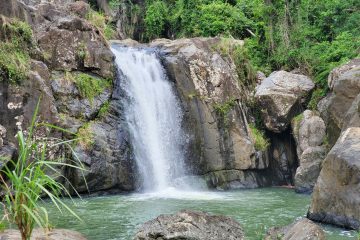 Puerto Rico El Yunque Rainforest Hiking to Waterfall and Cliff Jumping Adventure